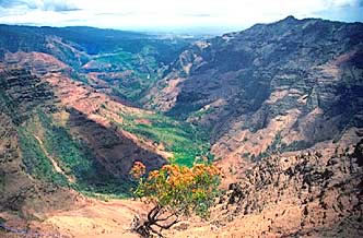 Waimea Canyon